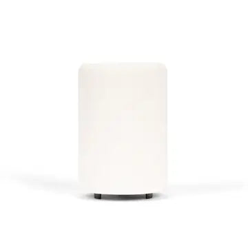 Wax Warmer - Bone