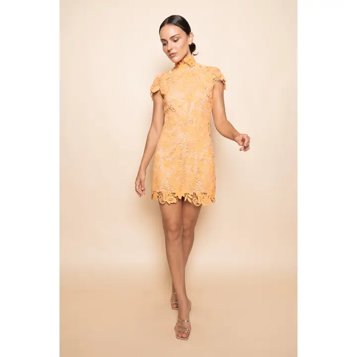 Lace Mock Neck Mini Dress
