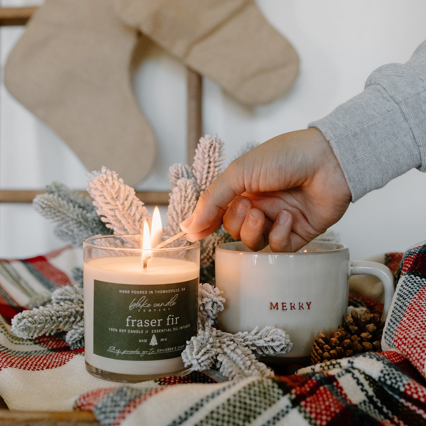 Fraser Fir