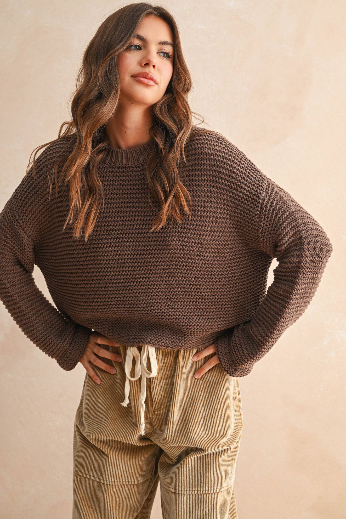 Round Neck Sweater Knitted Top